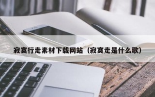 上海寂寞行走素材下载网站（寂寞走是什么歌）